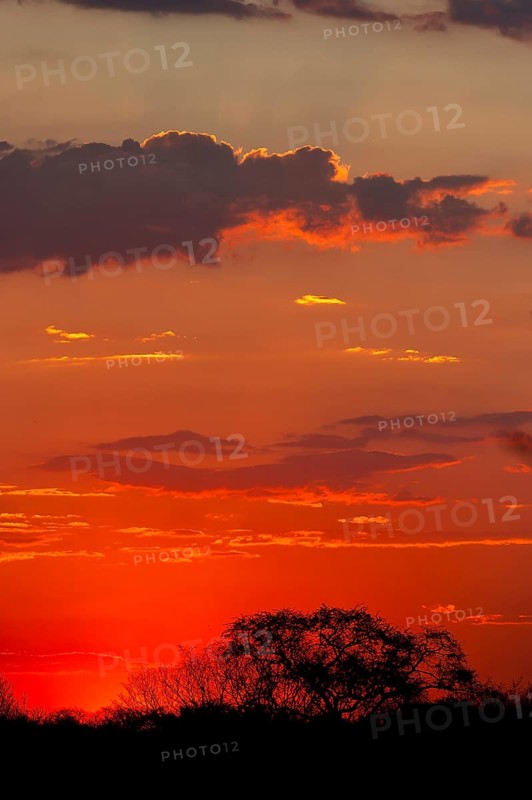 African sunset, sun, evening sky, romantic, romance, longing, emotion, travel, holiday, red sky, sunset, nature, landscape, Moremi National Park, Botswana, Africa