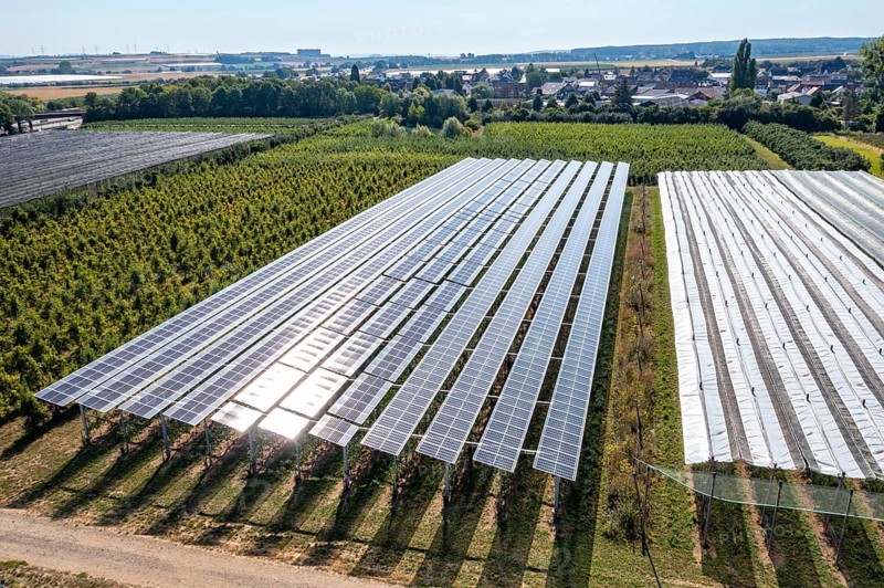Agri-photovoltaic test plant, an apple orchard with two different systems of PV modules was roofed over 3000 square metres, rain and sunlight comes through, at the same time protection against hail and heavy rain, next to it are the same trees but without a solar roof, as a comparison object, how the PV roof affects the trees and harvest, the field test is accompanied by the Fraunhofer Institute for Solar Energy Systems ISE, in Grafschaft-Gelsdorf, Rhineland-Palatinate, Germany, Europe