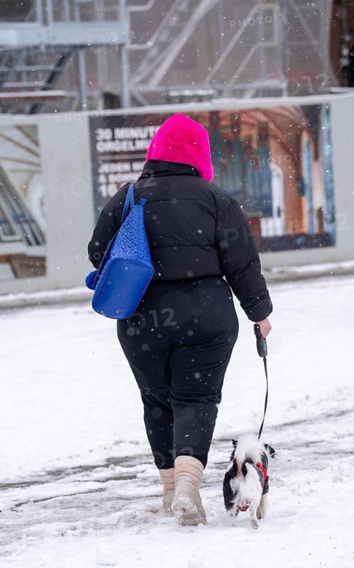 Winter in the city, woman with a small dog on a lead walking through a snowy street, slush, Germany, Europe