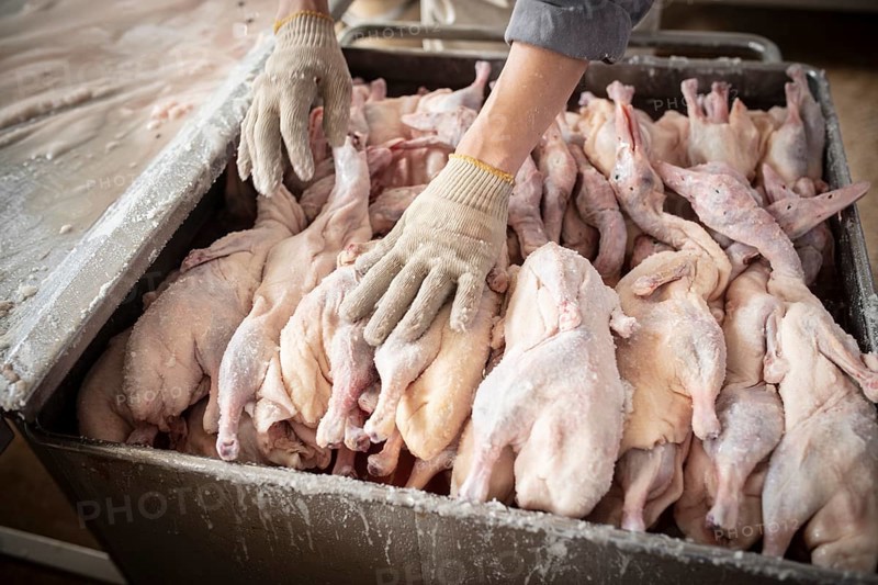 Production of salted ducks factory Nan Jing Ying Tao Yo Co. Ltd., for consumption in restaurants but also for sale as durable products as souvenirs, the frozen ducks come from the duck farms, are salted, brined, dried and scalded, Nanjing, China, Asia