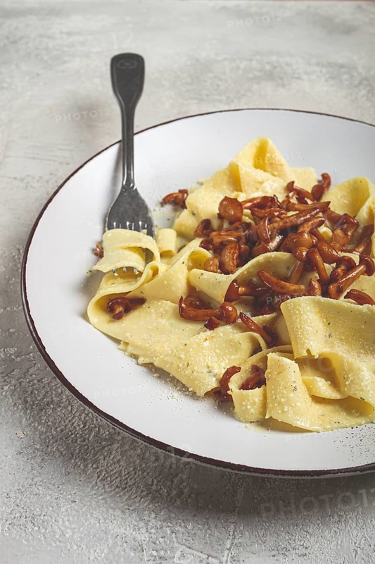Pasta papardelle, in creamy garlic sauce, with mushrooms, traditional Italian cuisine, pasta carbonara, homemade, no people