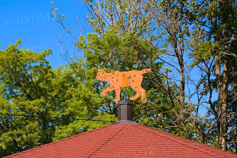 Lynx figure, lynx station, replica, big cat, lynx info point at the car park at Wildenstein Castle, roof of a pavilion, Leibertingen-Wildenstein, Baden-Württemberg, Germany, Europe