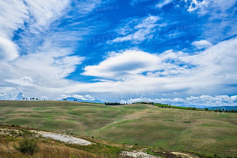 Landscape near Torrenieri, Tuscany, Italy, Europe