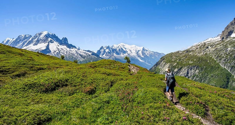 Mountaineer on hiking trail, mountain panorama with glaciated mountain peaks, Aiguille Verte with Aiguille du Midi and Mont Blanc, hike to Aiguillette des Posettes, Chamonix, Haute-Savoie, France, Europe