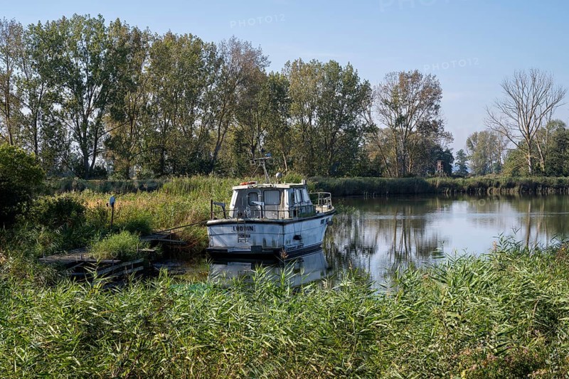 Boat harbour on the Achterwasser, Koserow, Usedom Island, Baltic Sea, Mecklenburg-Western Pomerania, Germany, Europe