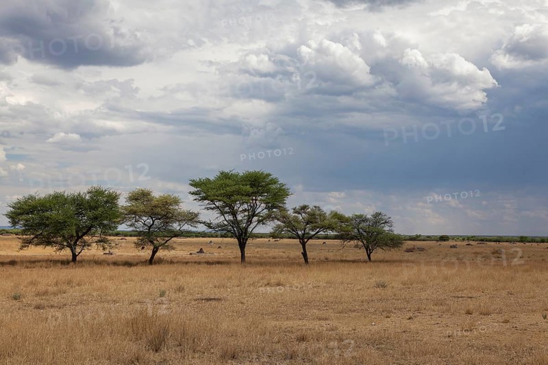 Landscape near the Waterberg region, Namibia, Africa