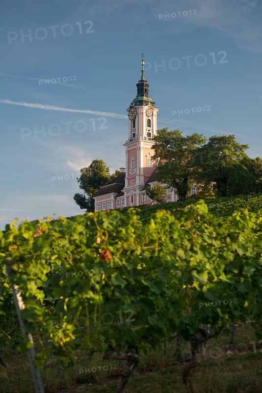 Birnau pilgrimage church and vineyards, sunrise, Uhldingen-Mühlhofen, Lake Constance, Baden-Württemberg, Germany, Europe