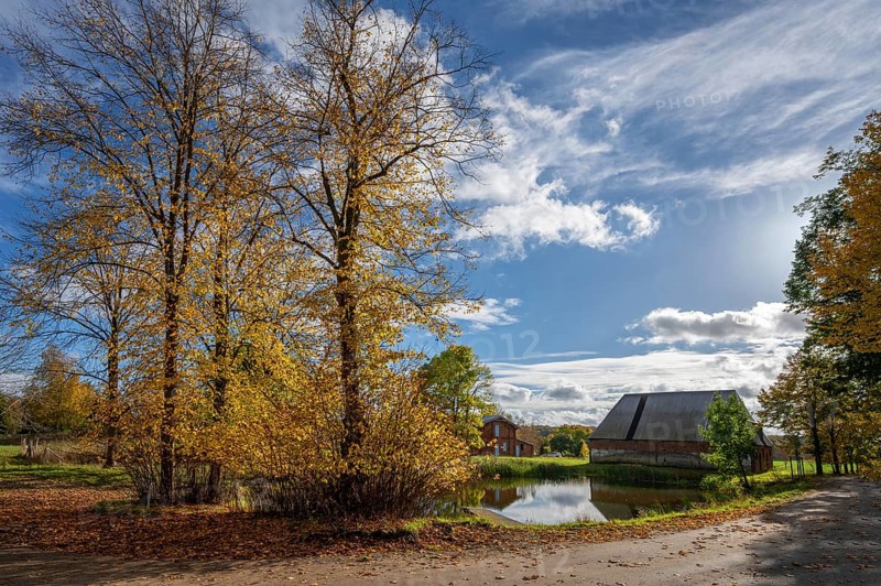 Autumnal lime trees (Tilia platyphyllos) at a village pond on an estate, Othenstorf, Mecklenburg-Vorpommern, Germany, Europe