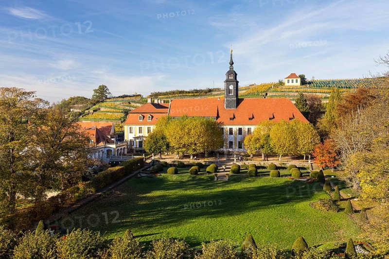 View from the Heinrichsburg castle to the French part of the castle park, baroque castle, vineyard and vintner's house Luisenburg in autumn, Diesbar-Seußlitz, Saxony, Germany, Europe
