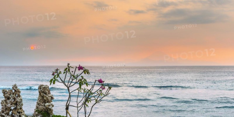 Frangipani (Plumeria) with view from Lombok to Bali, plant, shrub, flora, garden, botany, botanical, blossom, blooming, garden plant, exotic, tropical, tropical plant, flower, wellness, symbol, relaxation, paradisiacal, jasmine, spa, holiday, travel, long-distance travel, tourism, volcano, silhouette, evening mood, evening sky, orange, romantic, holiday feeling, holiday mood, dream holiday, meditation, yoga, calm, emotion, feeling, beautiful, idyllic, sea, ocean, sunset, island, sun, Indonesia, Asia