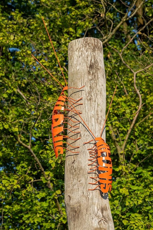 Metal crawling animals on a wooden trunk, art, Hanover, Lower Saxony, Germany, Europe