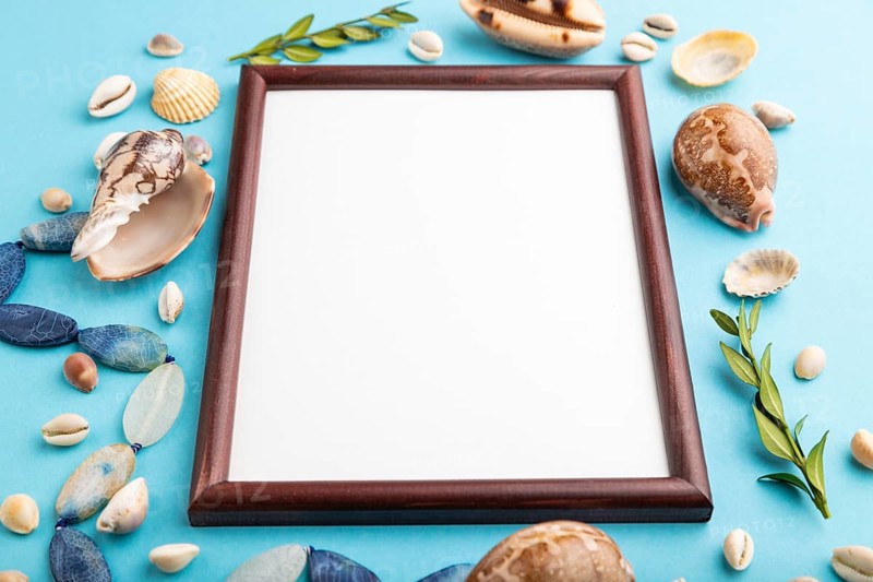 Composition with wooden frame, seashells, green boxwood. mockup on blue pastel background. Blank, side view, still life, copy space. travel concept
