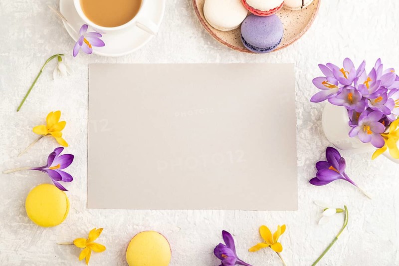 Beige paper sheet mockup with spring snowdrop crocus flowers and multicolored macaroons on gray concrete background. Blank, business card, top view, flat lay, copy space, still life. spring concept