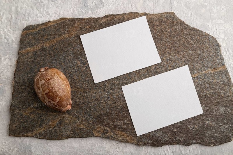 White paper business card, mockup with natural stone and seashell on gray concrete background. Blank, flat lay, top view, still life, copy space