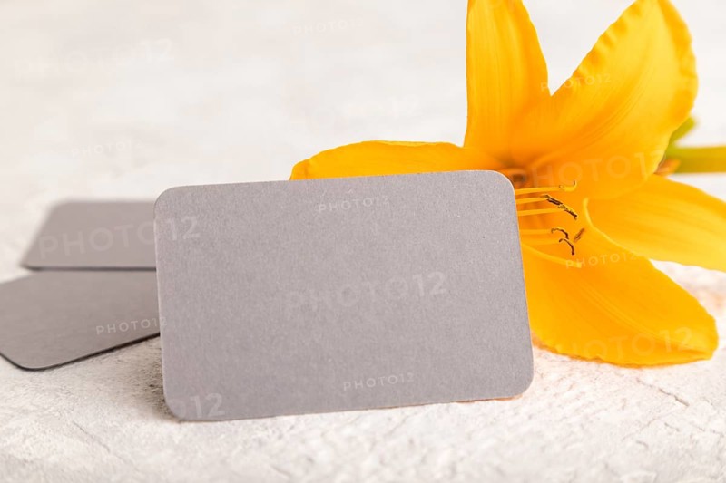 Gray paper business card mockup with orange day-lily flower on gray concrete background. Blank, side view, copy space, still life. spring concept