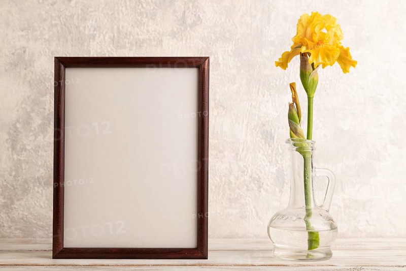 Wooden frame with yellow iris flower in glass on gray concrete background. side view, copy space, mockup, template, spring, summer minimalism concept