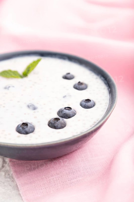 Yogurt with blueberry in ceramic bowl on gray concrete background and pink linen textile. Side view, close up, selective focus