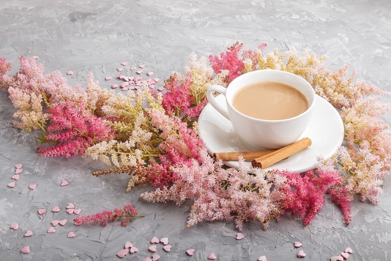 Pink and red astilbe flowers and a cup of coffee on a gray concrete background. Morninig, spring, fashion composition. side view, close up