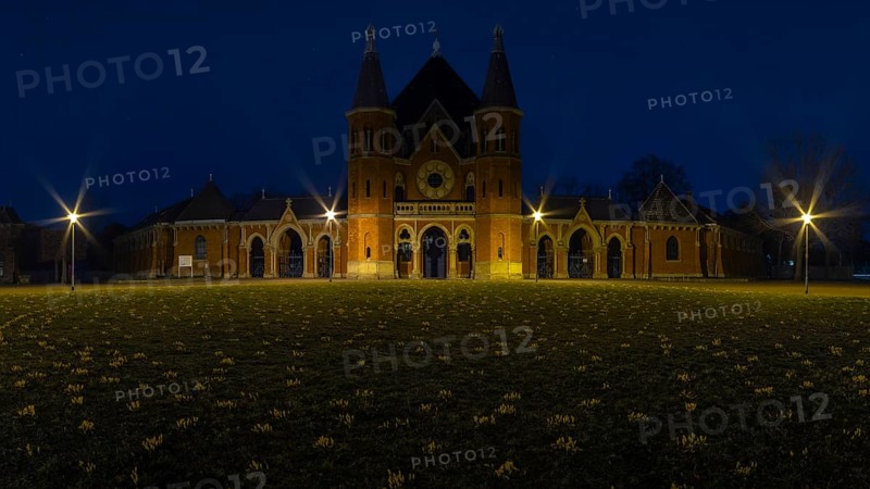 Main entrance of the cemetery in Hanover Stöcken with a lawn with crocuses in the foreground, dutch yellow crocus (Crocus flavus), Historical building, Landscape format, Night view, Germany, Europe