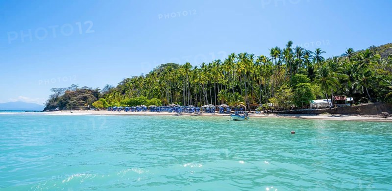 Tropical island with palm trees and turquoise blue sea, Isla Tortuga, Puntarenas province, Costa Rica, Central America