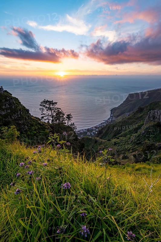 Evening mood, green coastal landscape on a steep cliff at sunset, sea and coast, viewpoint Miradouro da Raposeira, Paul do Mar, Madeira, Portugal, Europe