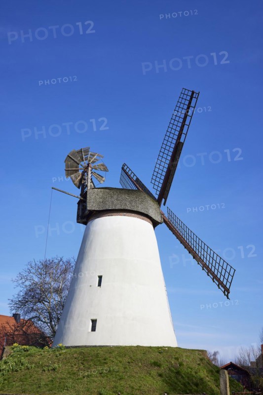 Windmill Hummelbecker Mühle against a cloudless blue sky, a Wall-Holländer, is part of the Westphalian Mill Road in Dützen, Minden, Mühlenkreis Minden-Lübbecke, North Rhine-Westphalia, Germany, Europe