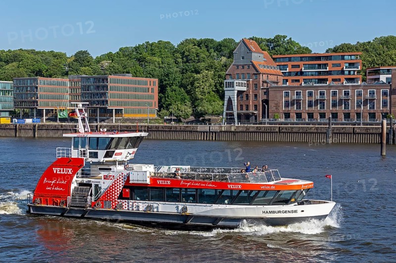 Elbe ferry, Elbe, Hamburg, Germany, Europe