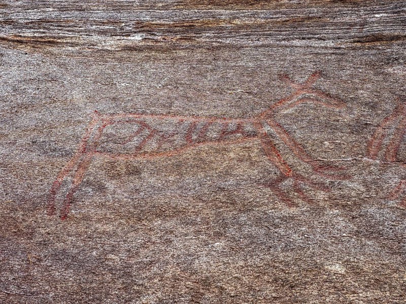 Prehistoric rock art at Bogge, petroglyphs between Eidsvåg and Eresfjord, More og Romsdal, Norway, Europe