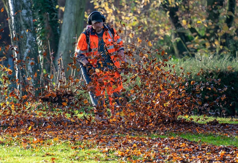 Leaf blower, removal of autumn leaves in a municipal park, Duisburg, North Rhine-Westphalia, Germany, Europe