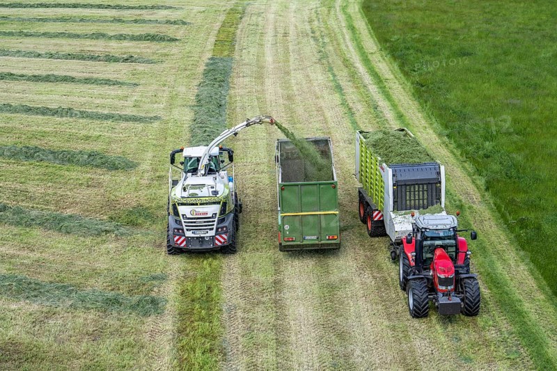Hay harvest, on a Rhine meadow near Duisburg-Beeckerwerth, a forage harvester picks up the cut grass, which was piled up in strips after cutting, and loads it into a silage wagon, cattle feed, North Rhine-Westphalia, Germany, Europe