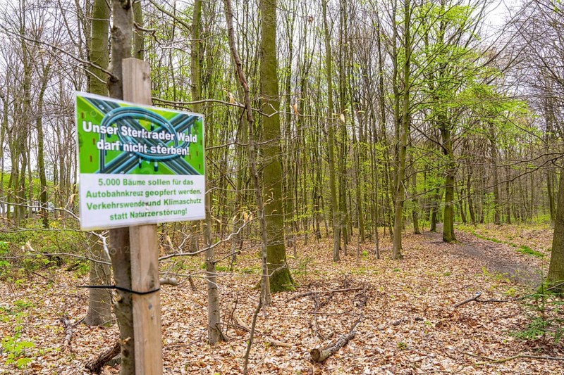 Protest posters, the Sterkrader Wald in Oberhausen, at the Oberhausen motorway junction, where the A2/A3A/A516 meet, it is to be expanded, 11 hectares of forest, around 5, 000 trees are to be felled for this, strong resistance to the plans has formed in the region, #Sterkibleibt, North Rhine-Westphalia, Germany, Europe