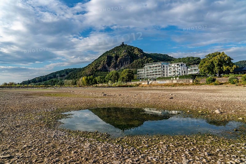 The Rhine at extremely low water, near Bad Honnef Rhöndorf, below the Drachenfels, Nonnenwerth Island, dry banks of the Rhine, North Rhine-Westphalia, Germany, Europe