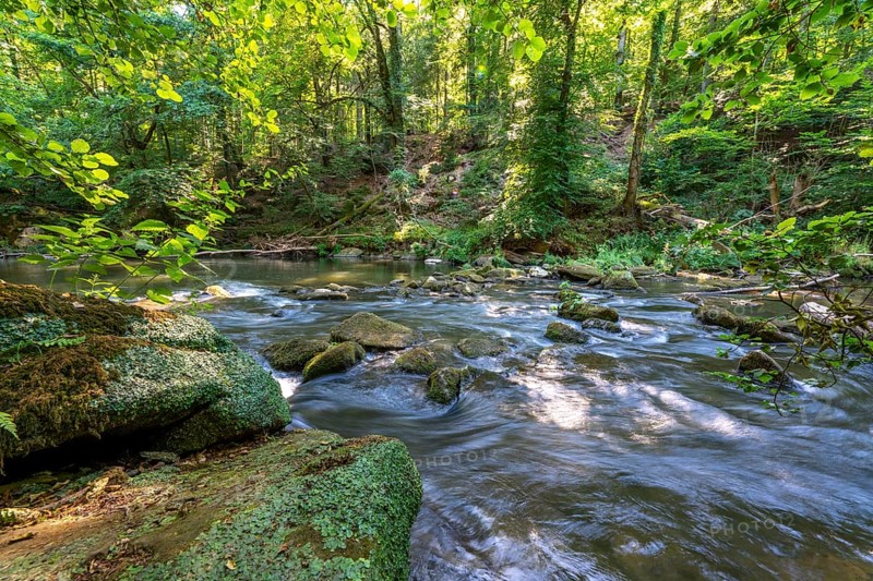 The Irrel Waterfalls, rapids in the lower course of the Prüm between Prümzurlay and Irrel, in the Eifel district of Bitburg-Prüm, Rhineland-Palatinate. Germany