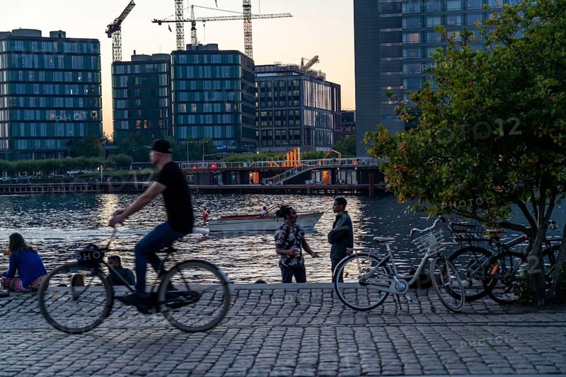 Summer evening in Copenhagen, at the harbour, Islands Brygge, people celebrating, eating, drinking, relaxing at the harbour shore, Denmark, Europe