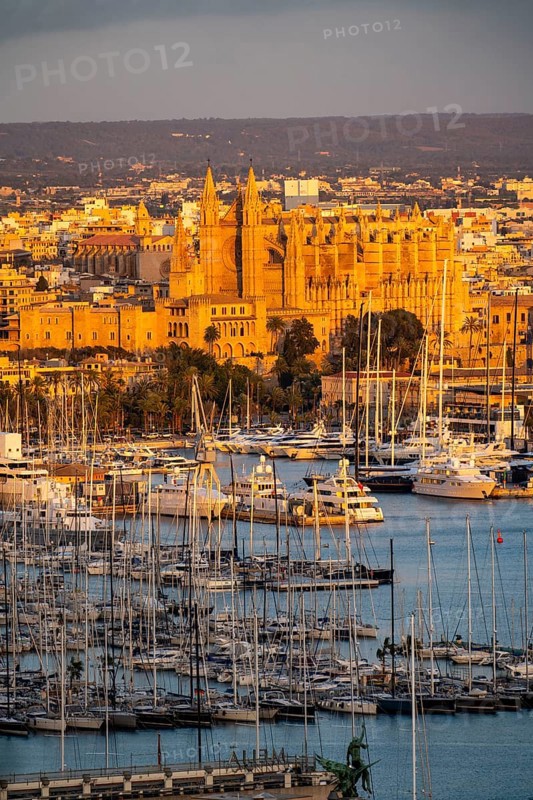 Panorama of Palma de Majorca, Bay of Palma, with the marina and the Cathedral of St Mary, Balearic Islands, Spain, Europe