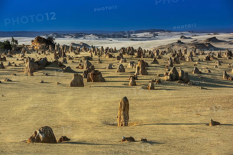 Pinnacles Desert, Nambung National Park, Kalbarri Region, Western Australia, Australia, Oceania