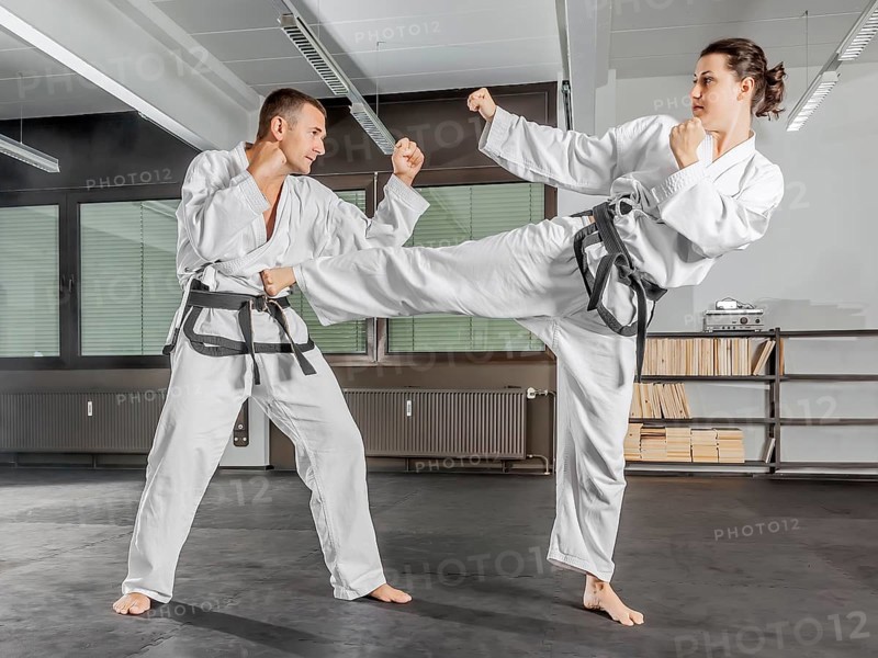 An image of a martial arts master