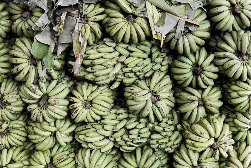 Bananas for sale, Mysore, Karnataka, South India, Dense arrangement of green banana plants on a market stall, Mysore, Karnataka, South India, India, Asia