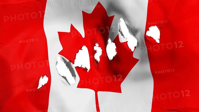 Canada flag perforated, bullet holes, white background, 3d rendering