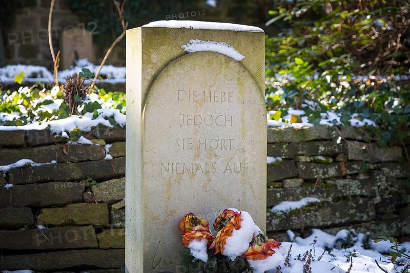 Gravestone with snow and frozen roses, inscription Die Liebe jedoch sie hört niemals auf, Dresden Forest Cemetery, Saxony, Germany, Europe