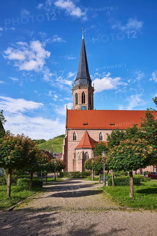 Church of St. Nicholas, square, trees, blue sky with cumulus clouds, Am Kirchplatz, Kappelrodeck, Black Forest, Ortenaukreis, Baden-Württemberg, Germany, Europe