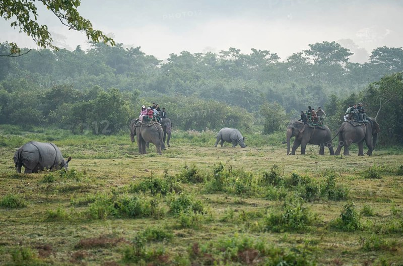 Tourists looks one horned rhinocero as they ride elephants during a safari at Kaziranga National Park on December 5, 2024 in Kaziranga, India. Kaziranga National Park, in Assam is a UNESCO World Heritage Site renowned for its biodiversity