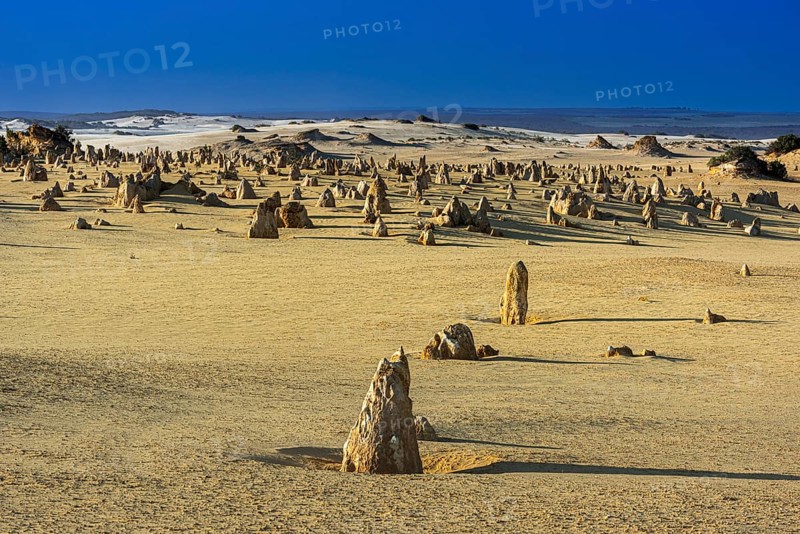 Pinnacles Desert, Nambung National Park, Kalbarri Region, Western Australia, Australia, Oceania