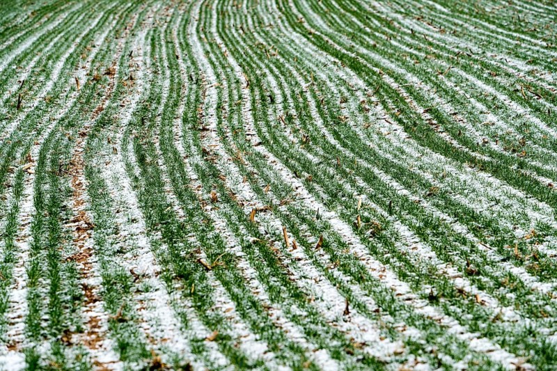 Agricultural fields in winter, Oberweser, Upper Weser Valley, Weser Uplands, Weserbergland, Hesse, Germany, Europe