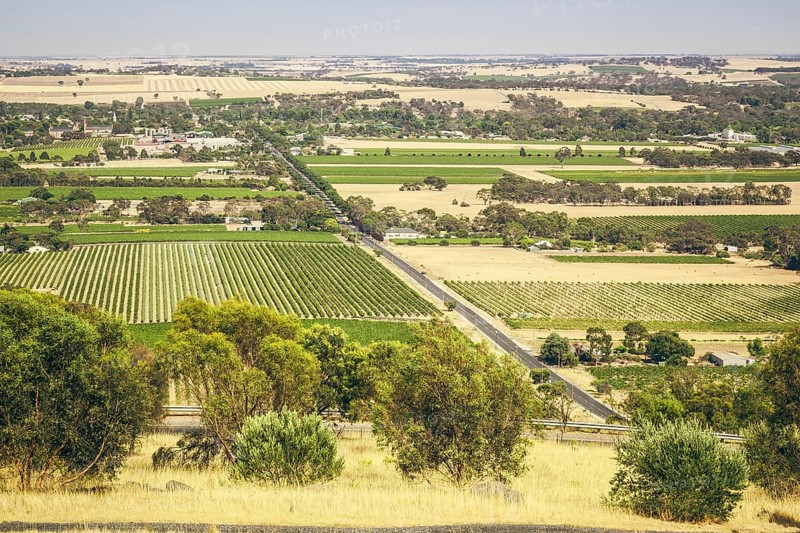 An image of the Barossa Valley landscape in Australia