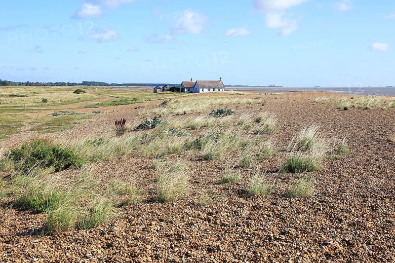 Bungalow house on Vegetated shingle beach, Shingle Street, Suffolk, England, UK