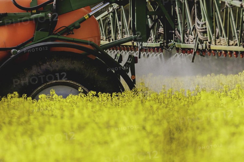 A tractor with trailer field sprayer in a rapeseed field, photographed in Waldhufen, 12/04/2024