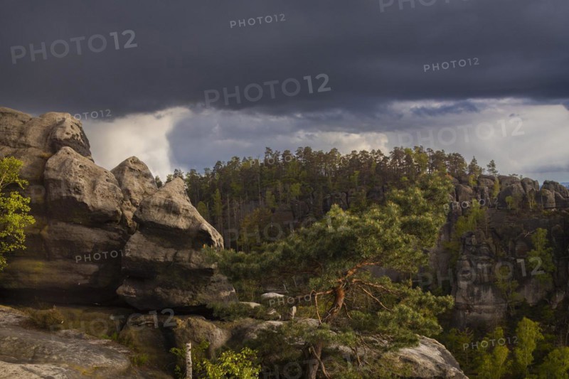 View of the Schrammstein chain, the Falkenstein and the Lilienstein from the Carolafelsen, Bad Schandau, Saxony, Germany, Europe