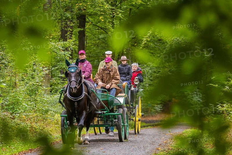 Presentation and route ride, all carriages in stylish tension, popular sporting event over approx. 30 km. An event organised by Reit- und Fahrverein Moritzburg e.V., 29th Moritzburger Teichrundfahrt, Moritzburg, Saxony, Germany, Europe