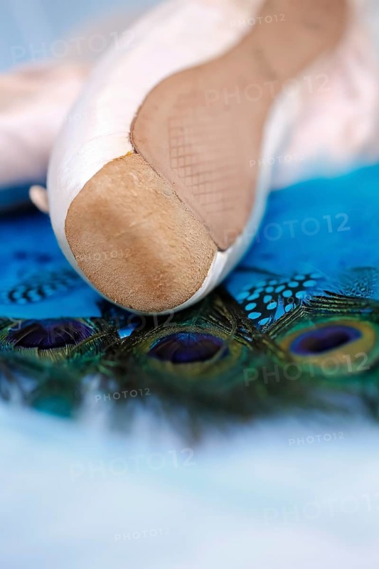 Ballet shoes, pointe shoes on peacock feathers, still life, dance shoes covered with satin in light pink colour, leather sole, studio, Germany, Europe